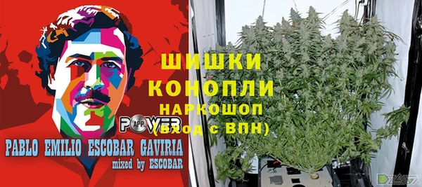 прущая мука Ростов