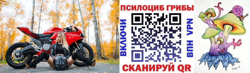 Галлюциногенные грибы Magic Shrooms  Кедровый 